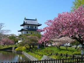 9-Day Highlights of Hokkaido in Spring Sightseeing Tour